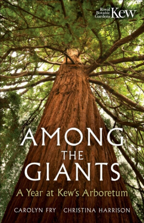 Among the Giants - Kew Gardens