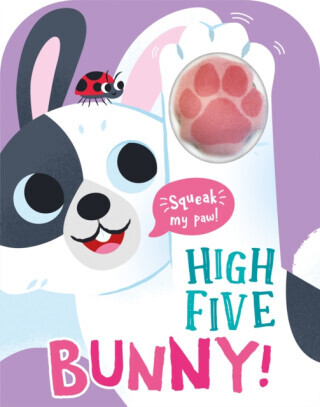 High Five Bunny! A count-and-squeak book. - Robin Baines