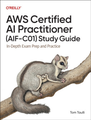 AWS Certified AI Practitioner (AIF-C01) Study Guide - Tom Taulli