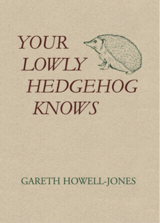 Your Lowly Hedgehog Knows - Gareth Howell-Jones