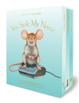 You Stole My Name Board Book Box Set - Dennis Mcgregor