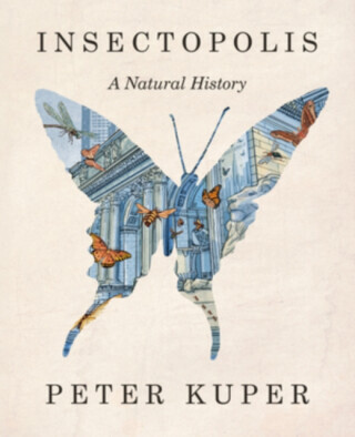 Insectopolis - Peter Kuper