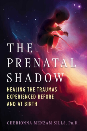 The Prenatal Shadow - Cherionna Menzam-Sills