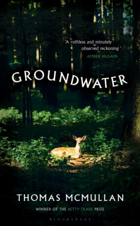 Groundwater - Thomas McMullan