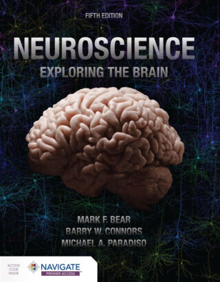 Neuroscience: Exploring the Brain - Barry Connors, Michael A. Paradiso, Mark Bear