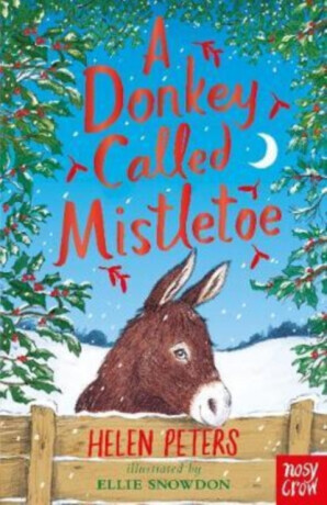 A Donkey Called Mistletoe - Helen Peters