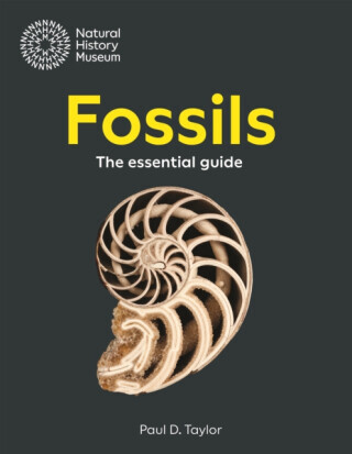 Fossils - Paul D. Taylor