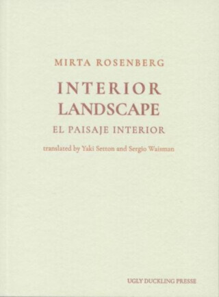 Interior Landscape - Mirta Rosenberg