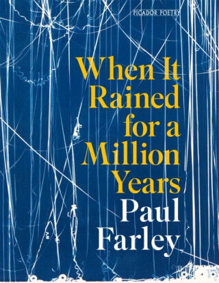 When It Rained for a Million Years - Paul Farley