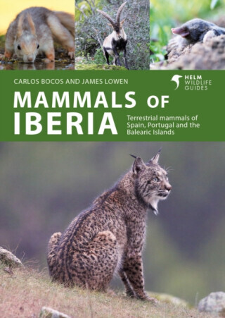 Mammals of Iberia - James Lowen, Carlos Bocos Gonzalez