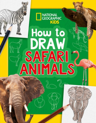 How to Draw Safari Animals - National Geographic