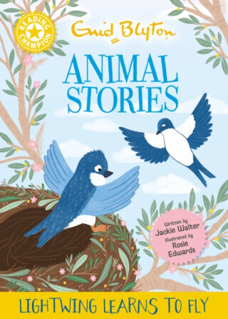 Reading Champion: Enid Blyton animal stories: Lightwing Learns to Fly - Jackie Walter