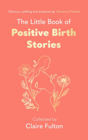 The Little Book of Positive Birth Stories - Claire Fulton