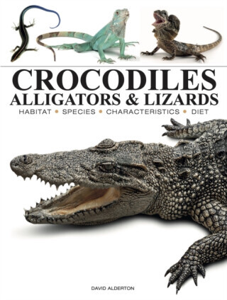 Crocodiles, Alligators & Lizards - David Alderton