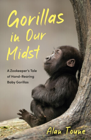 Gorillas in Our Midst - Alan Toyne