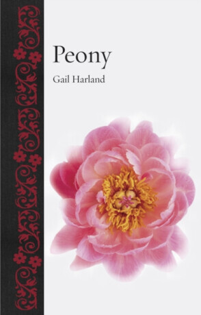 Peony - Gail Harland