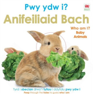 Pwy Ydw i? Anifeiliaid Bach / Who Am I? Baby Animals - DK