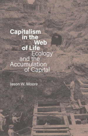 Capitalism in the Web of Life - Jason W. Moore