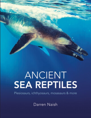 Ancient Sea Reptiles - Darren Naish