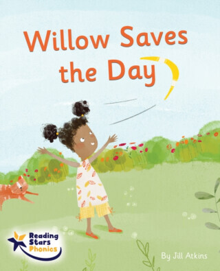 Willow Saves the Day - Jill Atkins