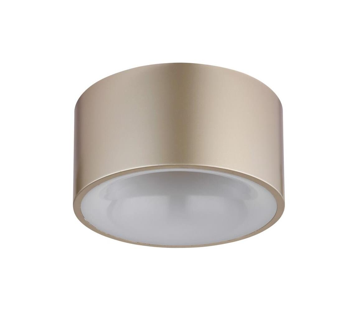 Globo Globo 56964G - LED Stropní svítidlo RAYMOND LED/12W/230V pr. 15 cm 3000K béžová