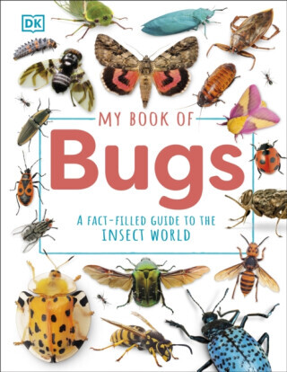 My Book of Bugs - Ben Hubbard