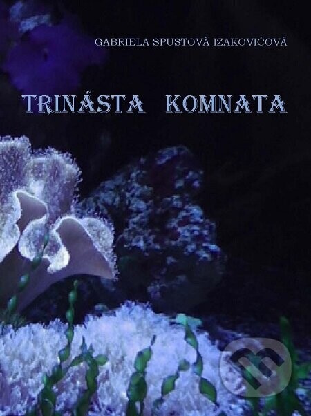 Trinásta komnata - Gabriela Spustová Izakovičová