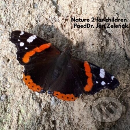 Nature for children, part 2 - Ján Zeleňák