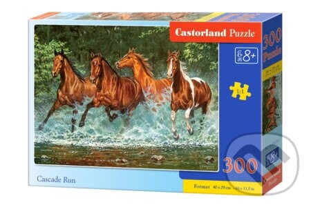 Cascade Run - Castorland