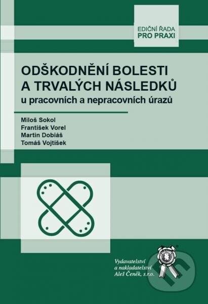 Odškodnění bolesti a trvalých následků u pracovních a nepracovních úrazů - František Vorel, Miloš Sokol