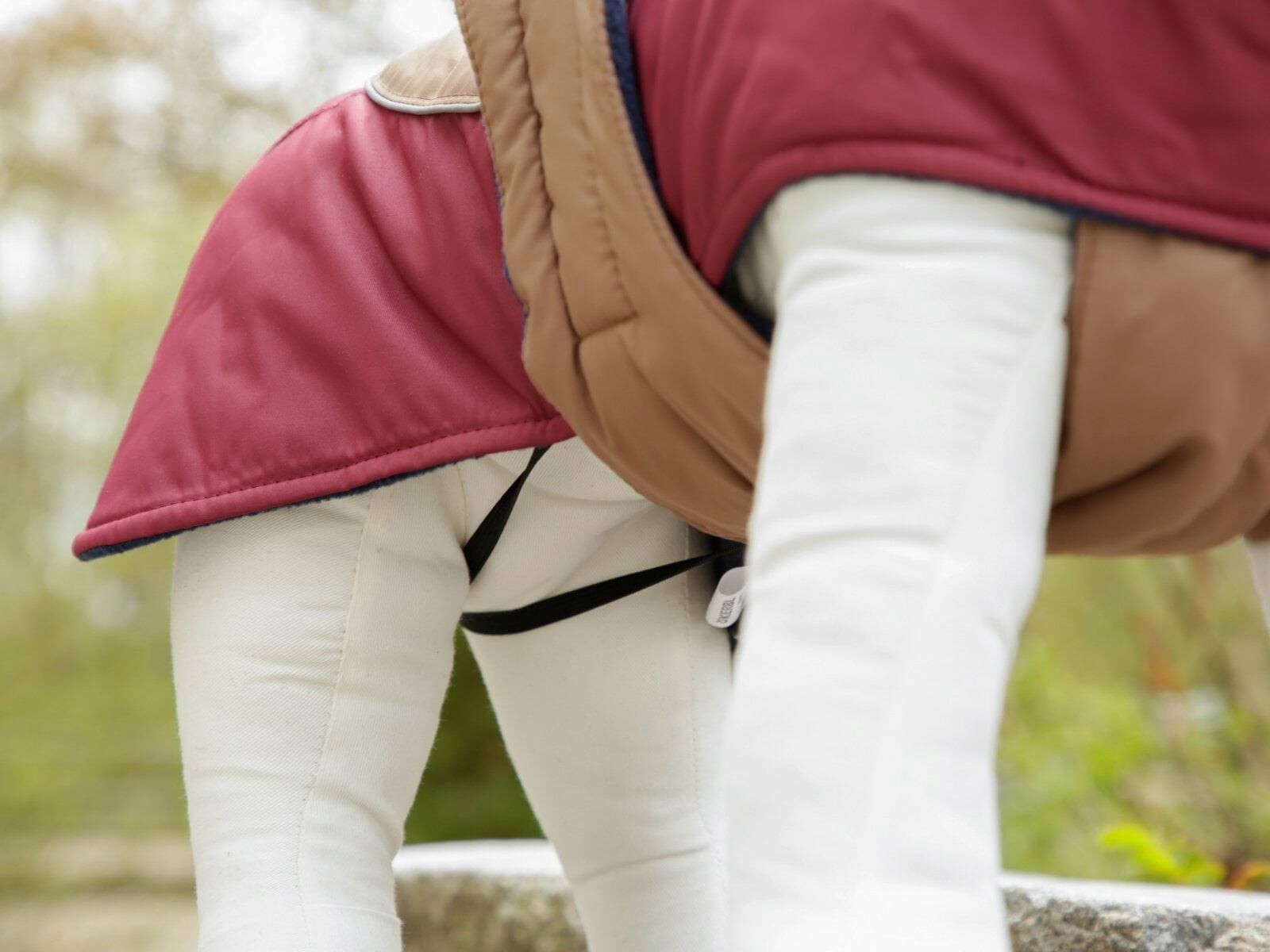 Kabát pro psa Royal Pets, 50 cm, XL, Kerbl