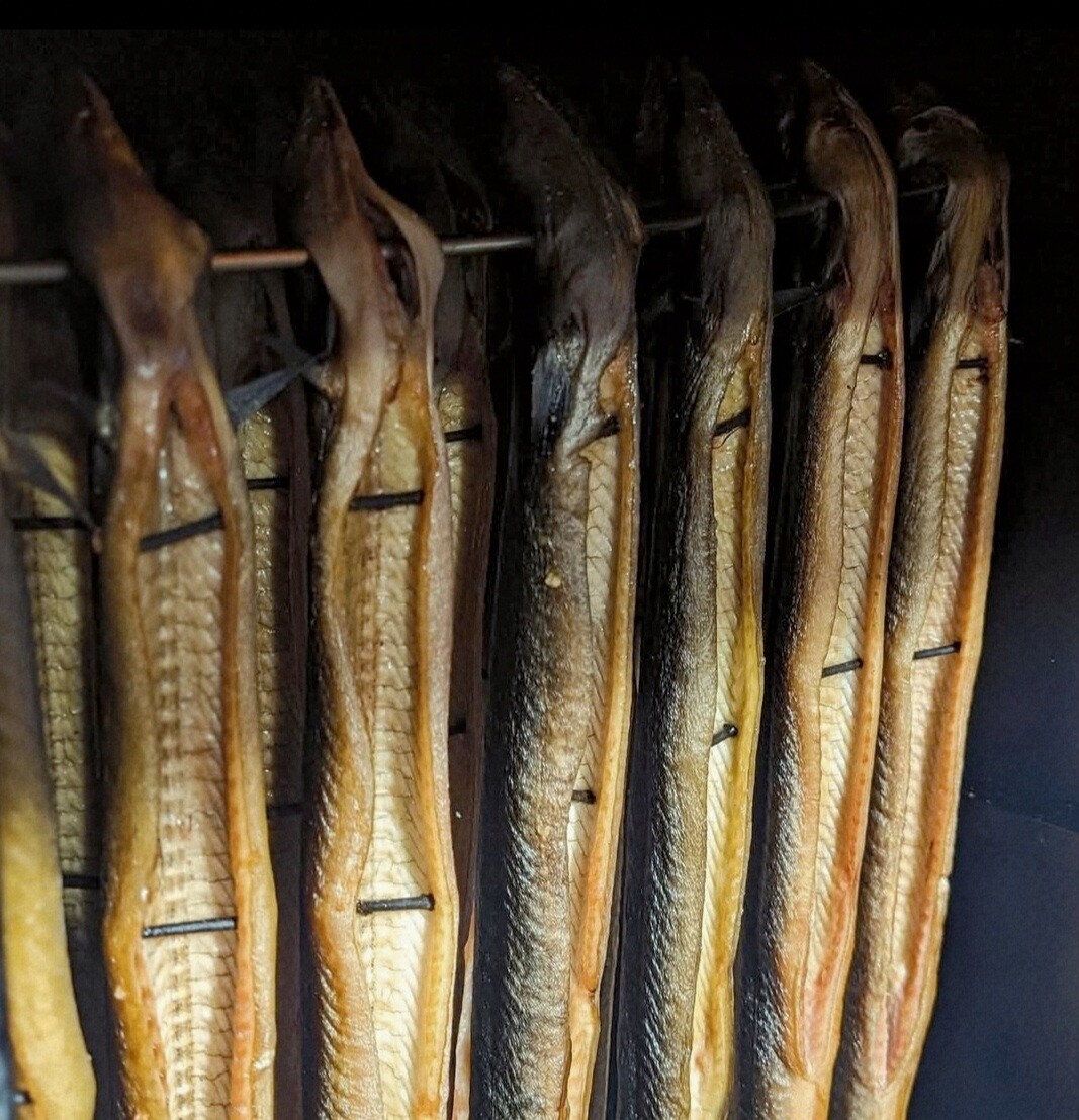 Uzený úhoř z Polské jezer Tradiční chuť Aroma Přírodní Uzení