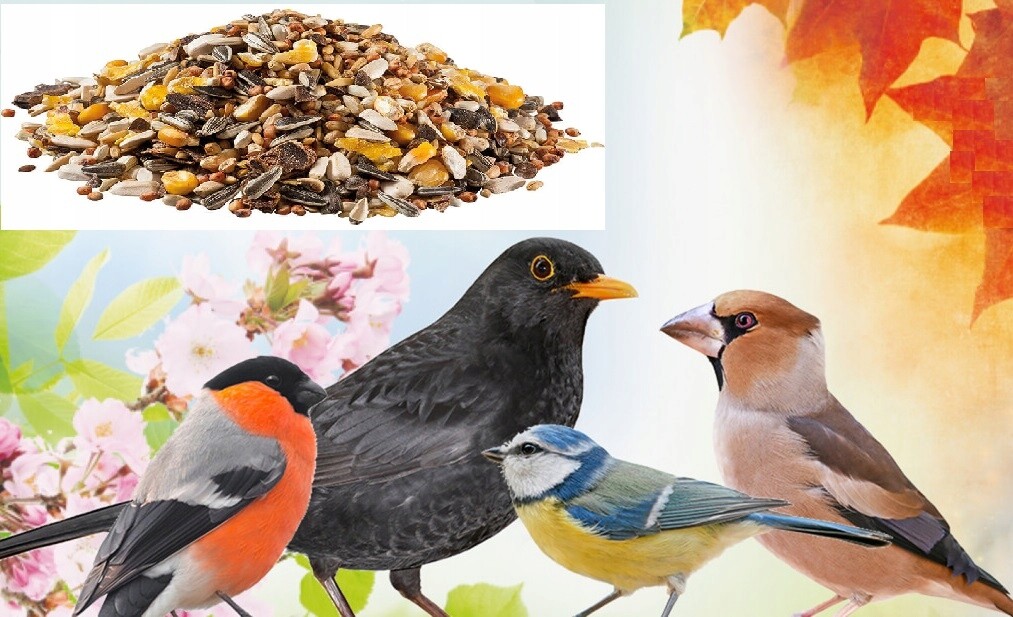 Směs Krmivo pro přezimující divoké ptáky Bohaté složení Ořechy 25 kg