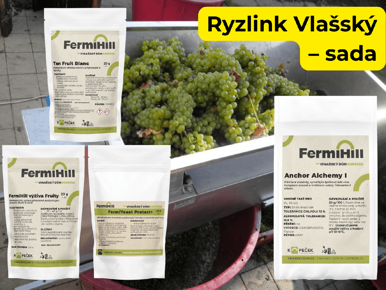 Sada Ryzlink Vlašský