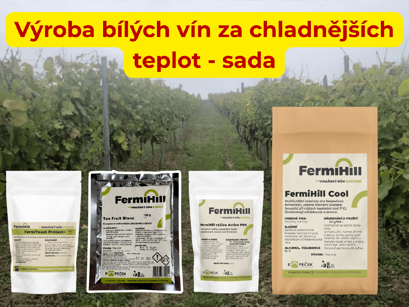 Sada ovocná vína za chladnějších teplot