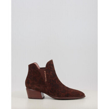 Hispanitas  VERONA PHI254383  ruznobarevne