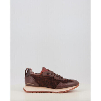 Hispanitas  KANSAS CHI254312  Hnědá