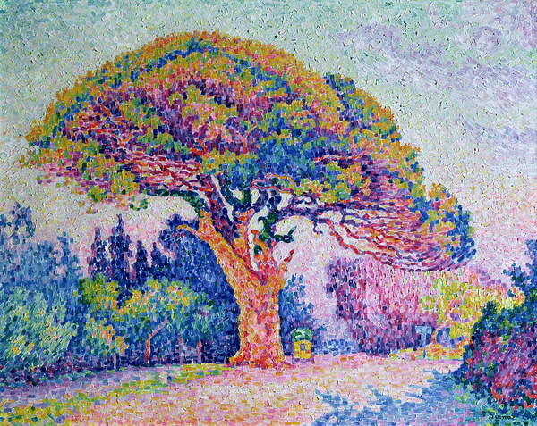 Paul Signac Obrazová reprodukce The Pine Tree at St. Tropez, 1909, Paul Signac, 40 × 30 cm