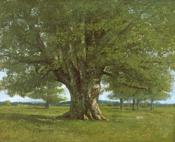 Gustave Courbet Obrazová reprodukce The Flagey Oak Tree, 1864, Gustave Courbet, 40 × 30 cm