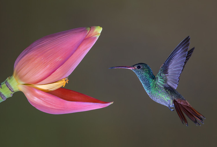 Greg Barsh Fotografie Target practice, Greg Barsh, 40 × 26.7 cm