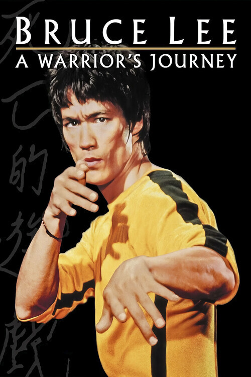 Europosters Ilustrace Bruce Lee A Warrior's Journey (2000), 26.7 × 40 cm