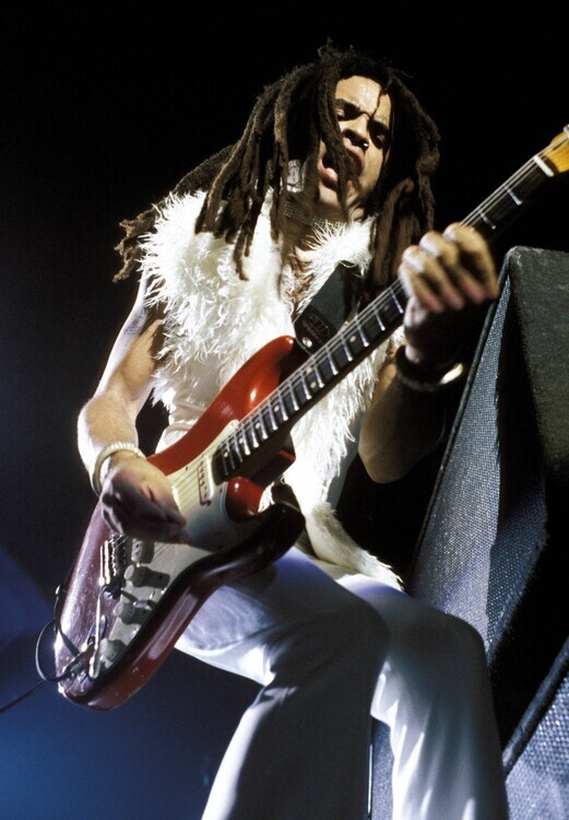 Michel Linssen Fotografie Photo of Lenny KRAVITZ, Michel Linssen, 26.7 × 40 cm