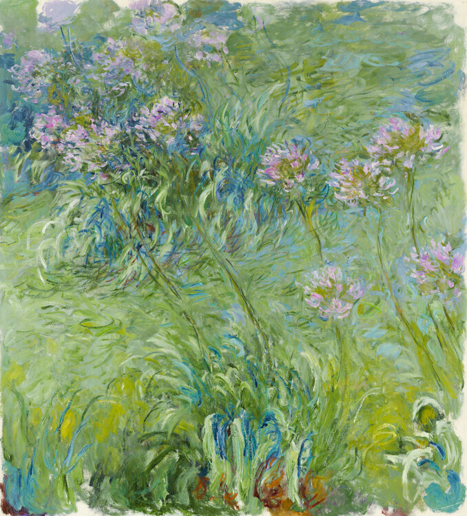 Claude Monet Obrazová reprodukce Agapanthus (1914–26), Claude Monet, 40 × 40 cm
