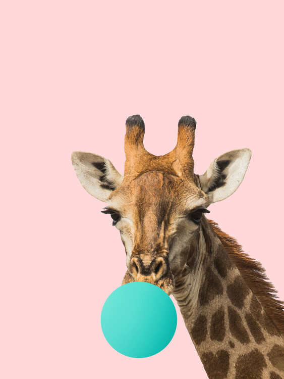 Finlay & Noa Ilustrace bubblegumgiraff1, Finlay & Noa, 30 × 40 cm