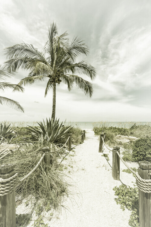 Melanie Viola Fotografie Path to the beach | Vintage, Melanie Viola, 26.7 × 40 cm