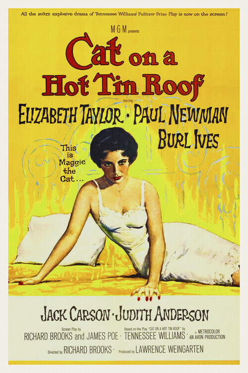 Europosters Ilustrace Cat on a Hot Tin Roof / Elizabeth Taylor, 26.7 × 40 cm