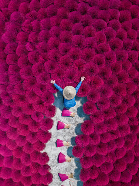 Abstract Aerial Art Ilustrace Drone image directly above a Vietnamese, Abstract Aerial Art, 30 × 40 cm