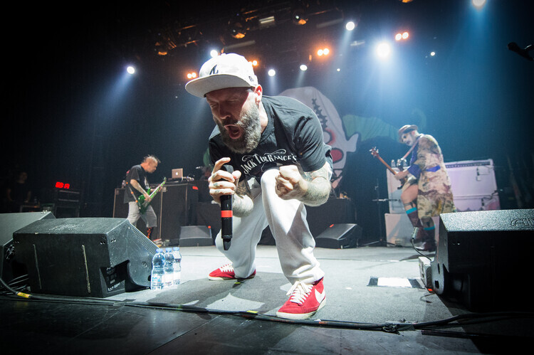 David Wolff - Patrick Fotografie Limp Bizkit Performs At Le Bataclan In Paris, David Wolff - Patrick, 40 × 26.7 cm