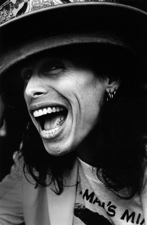 Michel Linssen Fotografie Photo of Steven TYLER and AEROSMITH, Michel Linssen, 26.7 × 40 cm