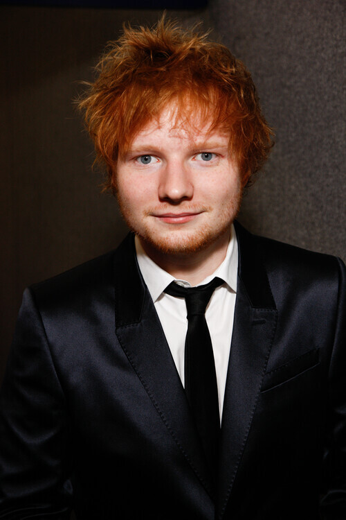 JMEnternational Fotografie The BRIT Awards with Mastercard 2013, JMEnternational, 26.7 × 40 cm